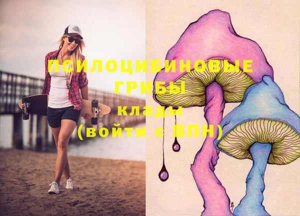 не бодяженный Рославль