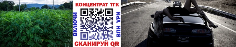 ТГК концентрат  Купить закладки  Бийск 